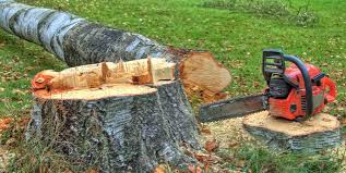 Best Hazardous Tree Removal  in Ahwahnee, CA