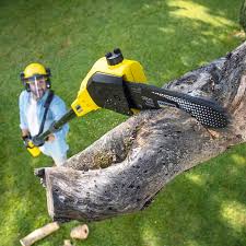 Best Aeration Services  in Ahwahnee, CA
