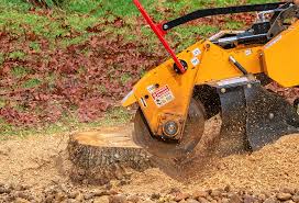 Best Emergency Tree Removal  in Ahwahnee, CA